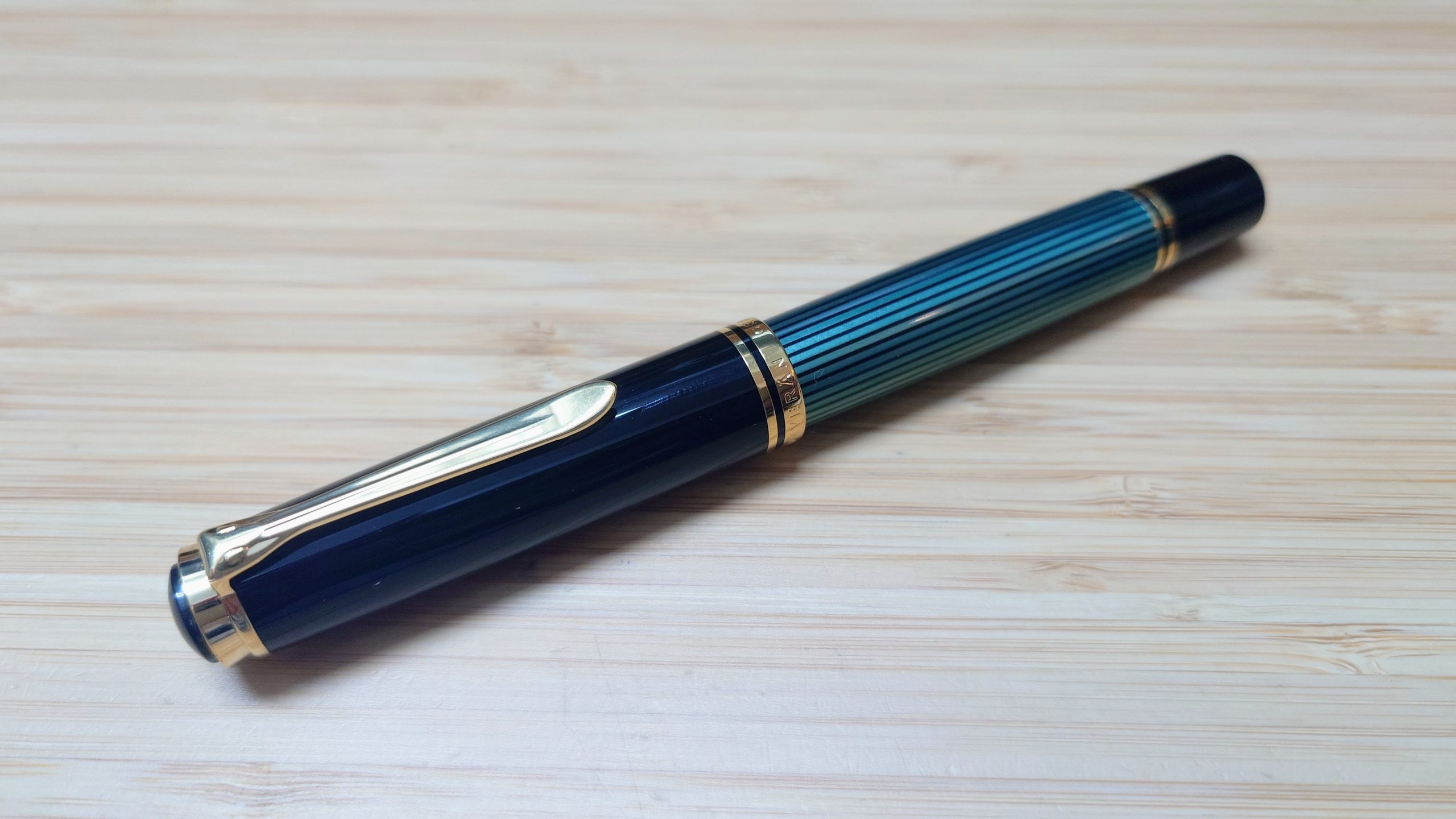 帰ってきたペリカン The Pelican is back